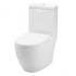 Baron-W-888 One Piece Toilet Bowl