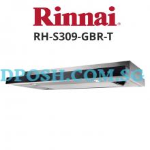 RinnaI-RH-S309-GBR-T