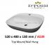 Baron-A539-Counter Top/Wall Mounted  Ceramic Basin