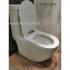 Baron-W-818 One Piece Toilet Bowl ( Rimless )