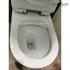 Baron-W-818 One Piece Toilet Bowl ( Rimless )