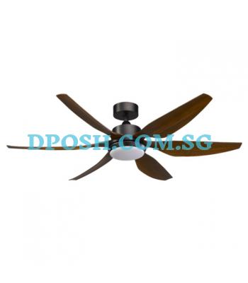 BESTAR HALI 48'' / 56''