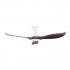 Efenz Isaac 523 LED ( HG )( 52 " )( Limited edition colour )