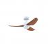 SAMAIRE E-COM 342 NL 42''