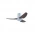 SAMAIRE HG42 NL 42''