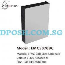 ESFERA-EMC5070BC-PVC Mirror Cabinet