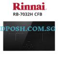 Rinnai Induction