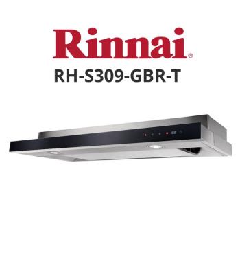 RinnaI-RH-S309-GBR-T